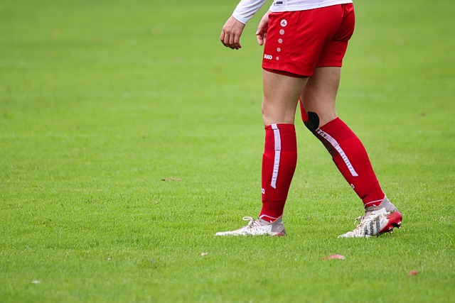 打造一个以 打造一个以