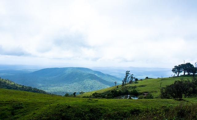 协作和战略 协作和战略