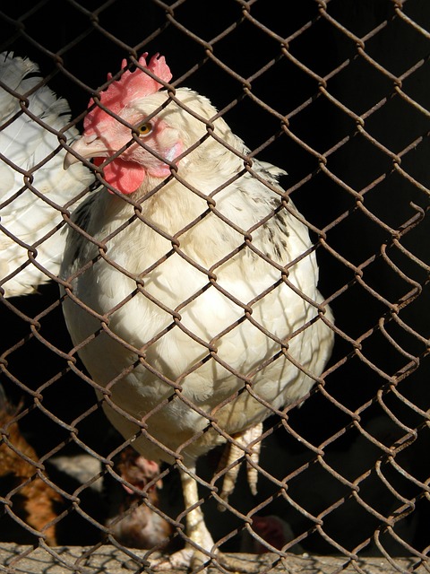 经验丰富的 经验丰富的