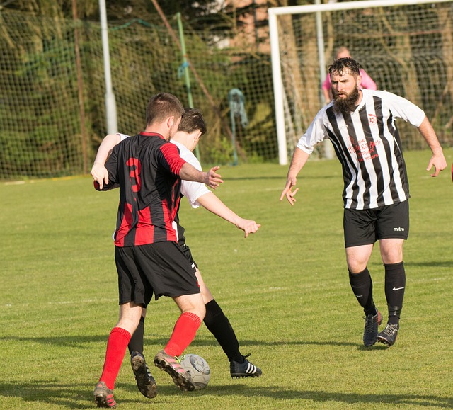 而正是这些 而正是这些