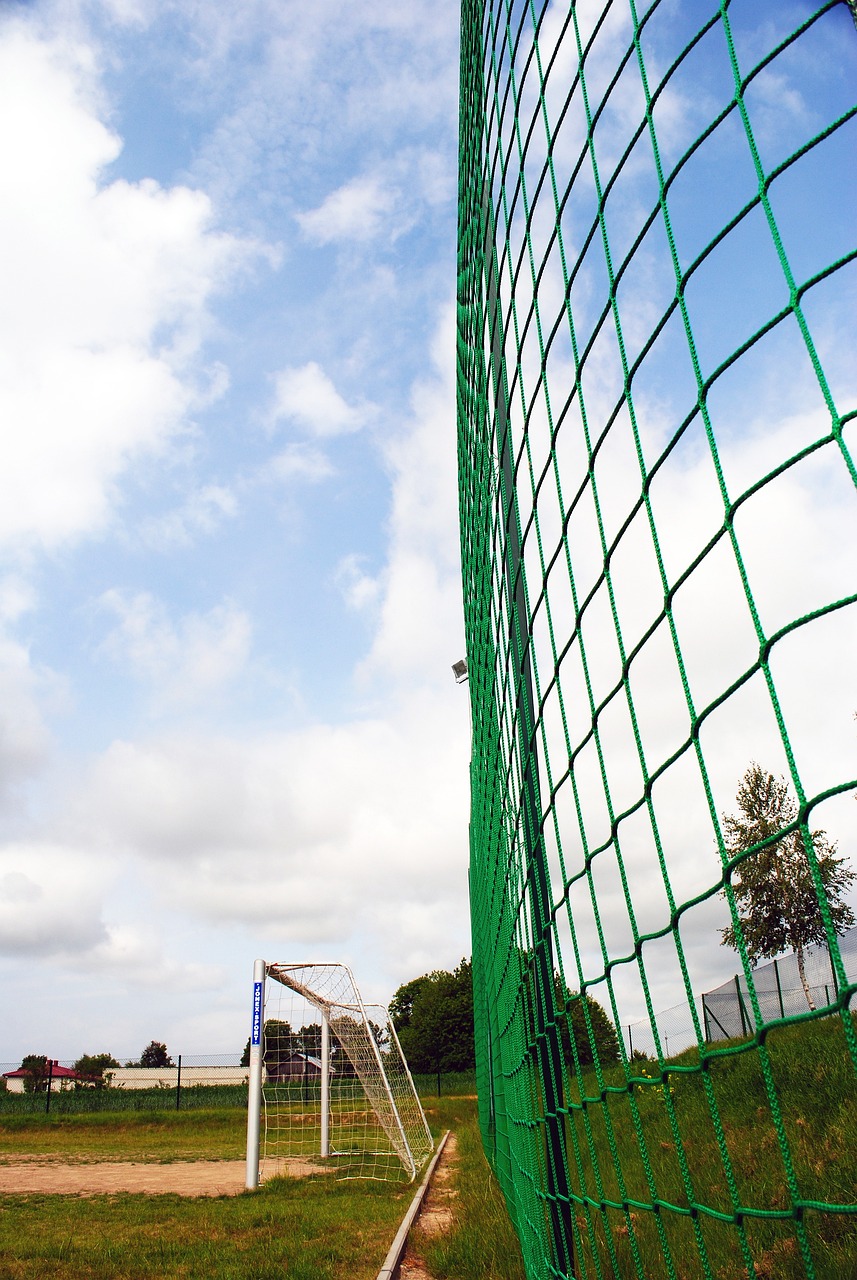 的欧洲赛事 的欧洲赛事